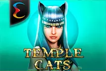 Temple Cats
